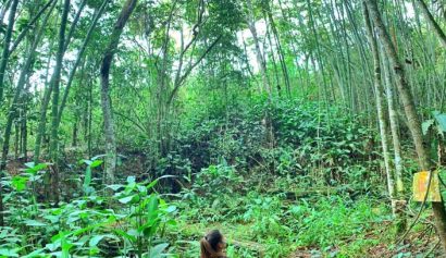 Imagen-de-WhatsApp-2024-05-29-a-las-11.26.20_0c4e7769-copia