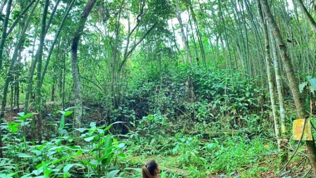 Imagen-de-WhatsApp-2024-05-29-a-las-11.26.20_0c4e7769-copia