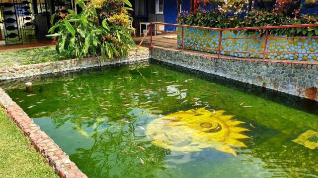 WhatsApp-Image-2020-11-05-at-4.28.13-PM-1-copia-copia