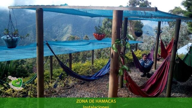 zona-de-hamacas